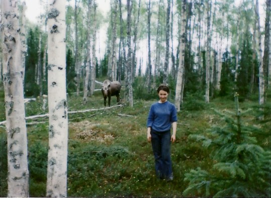 1981 - Our Cabin Site on Caribou Island, Skilak Lake!