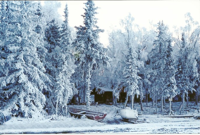 This is our second cabin home that we built our third year on the island. Nestled safely in a forest of snow covered pines. You can see our very first "wooden Dumpey" boat, "Ol' Slow Boat Annie," we dubbed her. And the Old Dorey next to her. We've swamped that Dory a time or two crossing that lake with a loads of wood! 