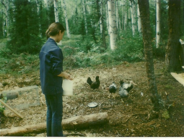 Feeding the chickens!