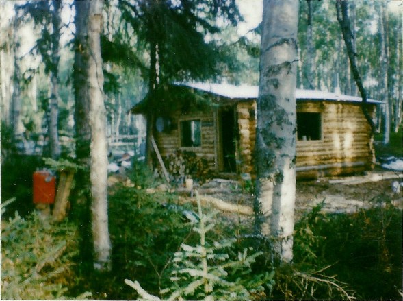 Finally got the roof on! Just need a door now!