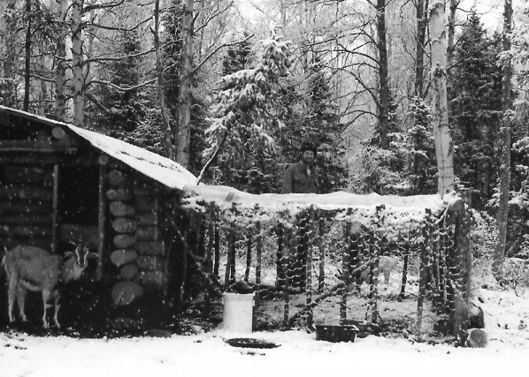 Chickens are tucked in safe and warm for the winter!