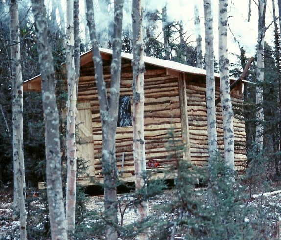 Our second summer, Sam also built a guest cabin tucked into the woods behind our main cabin.