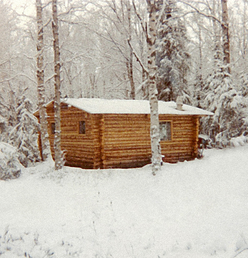 WINTER WONDERLAND! So quiet you can hear a snowflake falling to the ground.